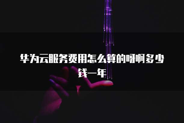 华为云服务费用怎么算的呀啊多少钱一年
