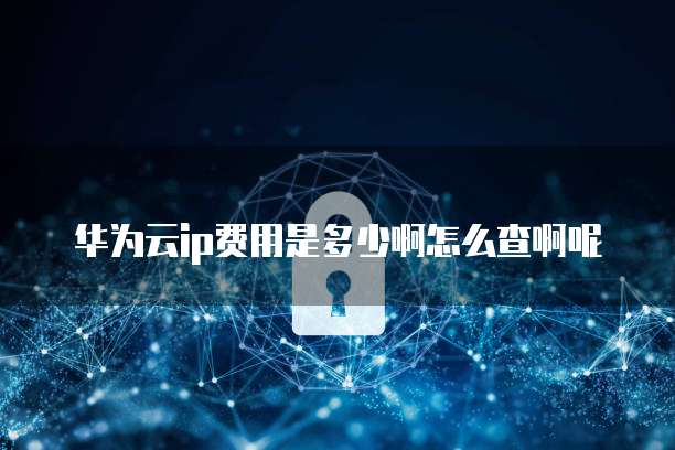 华为云ip费用是多少啊怎么查啊呢