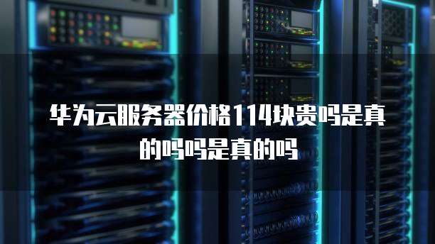 华为云服务器价格114块贵吗是真的吗吗是真的吗