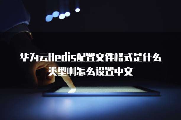 华为云Redis配置文件格式是什么类型啊怎么设置中文