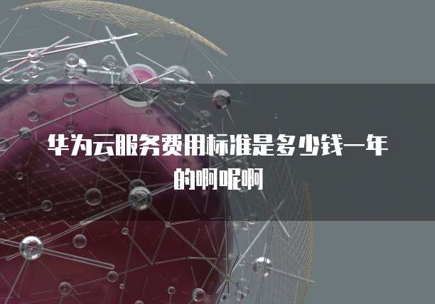华为云服务费用标准是多少钱一年的啊呢啊