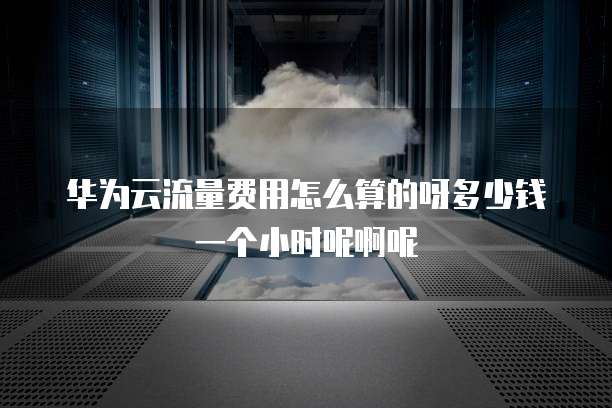 华为云流量费用怎么算的呀多少钱一个小时呢啊呢