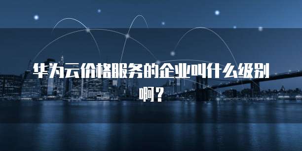华为云价格服务的企业叫什么级别啊?
