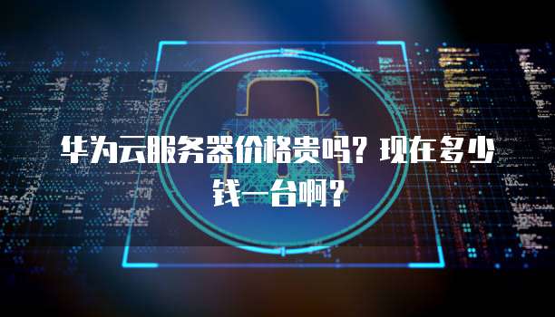 华为云服务器价格贵吗？现在多少钱一台啊？