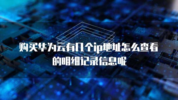 购买华为云有几个ip地址怎么查看的明细记录信息呢
