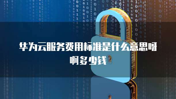 华为云服务费用标准是什么意思呀啊多少钱