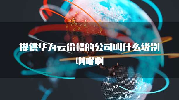 提供华为云价格的公司叫什么级别啊呢啊