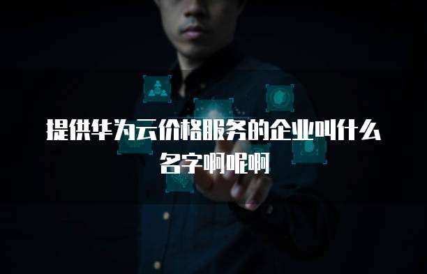 提供华为云价格服务的企业叫什么名字啊呢啊