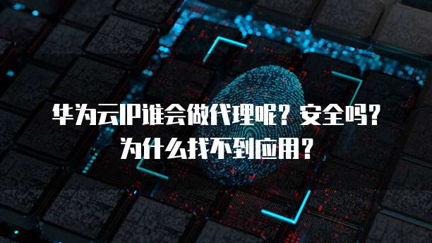 华为云IP谁会做代理呢?安全吗?为什么找不到应用?