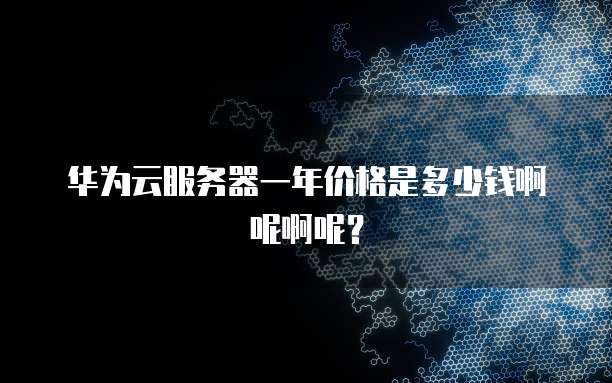 华为云服务器一年价格是多少钱啊呢啊呢?