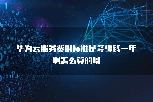 华为云服务费用标准是多少钱一年啊怎么算的呀
