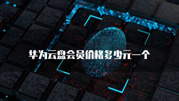 华为云盘会员价格多少元一个