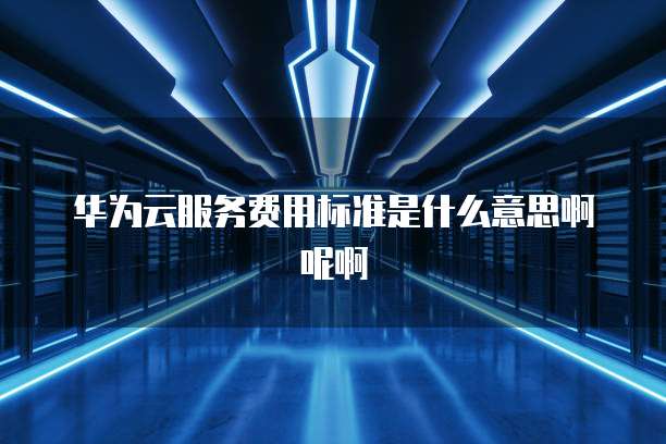 华为云服务费用标准是什么意思啊呢啊