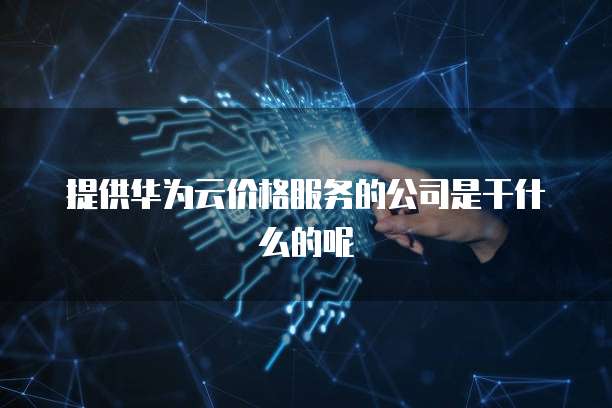 提供华为云价格服务的公司是干什么的呢