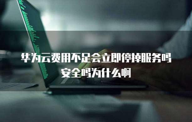 华为云费用不足会立即停掉服务吗安全吗为什么啊