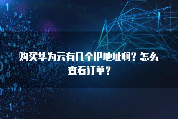 购买华为云有几个IP地址啊？怎么查看订单？