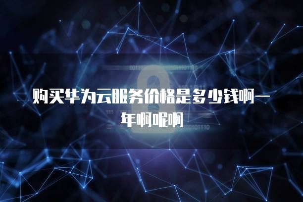 购买华为云服务价格是多少钱啊一年啊呢啊