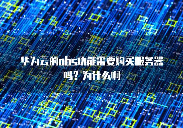 华为云的obs功能需要购买服务器吗？为什么啊