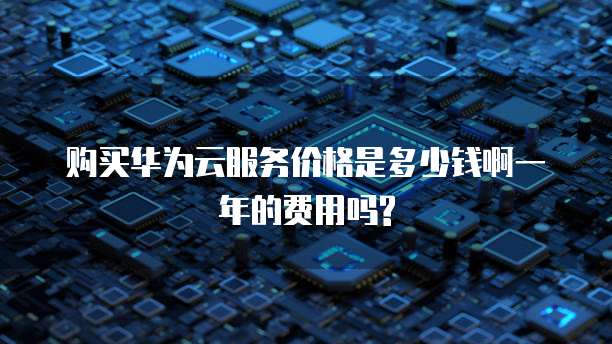 购买华为云服务价格是多少钱啊一年的费用吗?