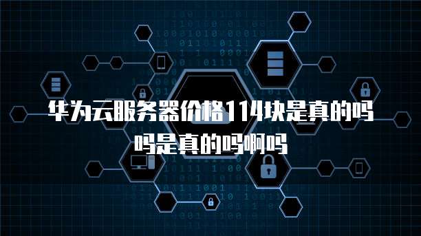 华为云服务器价格114块是真的吗吗是真的吗啊吗