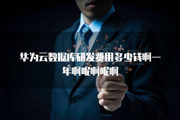 华为云数据库研发费用多少钱啊一年啊呢啊呢啊