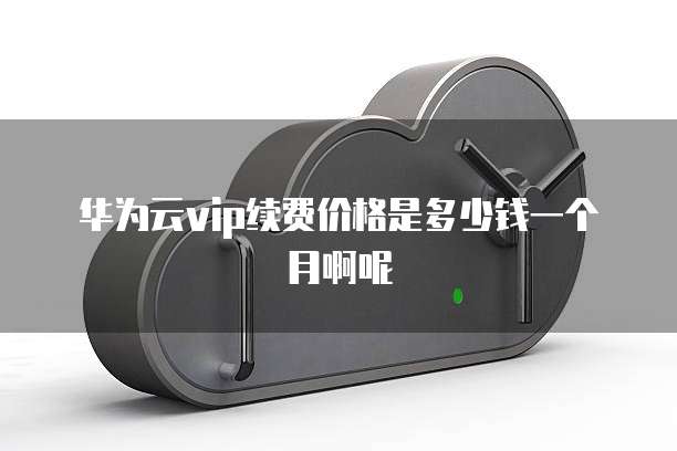 华为云vip续费价格是多少钱一个月啊呢