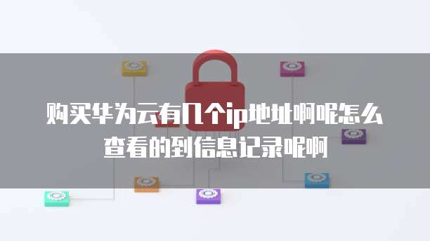 购买华为云有几个ip地址啊呢怎么查看的到信息记录呢啊