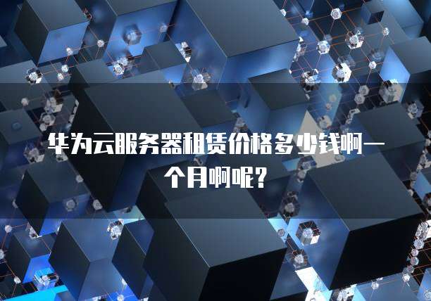 华为云服务器租赁价格多少钱啊一个月啊呢?