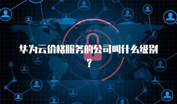 华为云价格服务的公司叫什么级别?