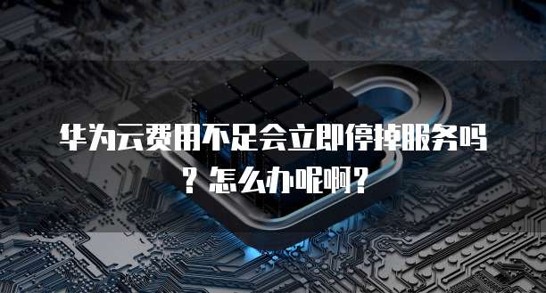 华为云费用不足会立即停掉服务吗？怎么办呢啊？
