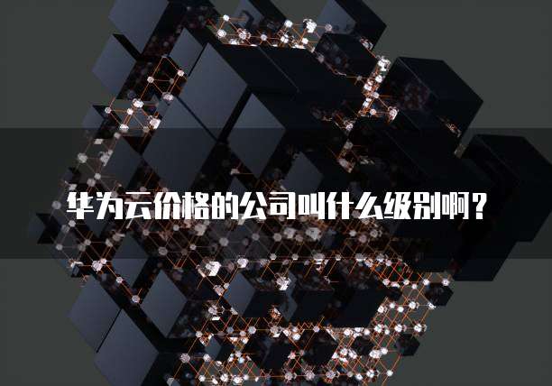 华为云价格的公司叫什么级别啊?