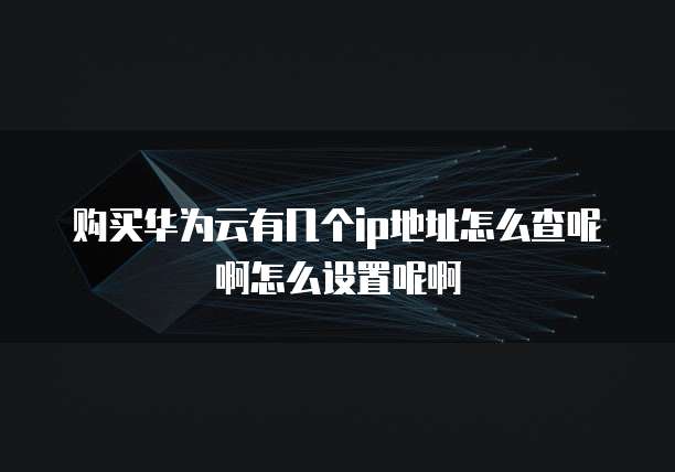 购买华为云有几个ip地址怎么查呢啊怎么设置呢啊