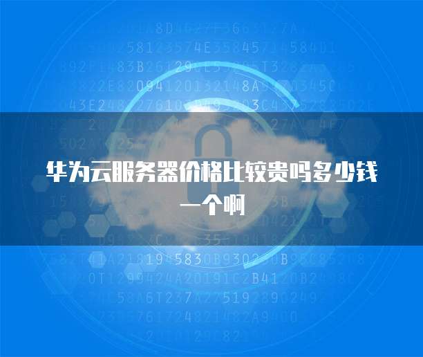 华为云服务器价格比较贵吗多少钱一个啊