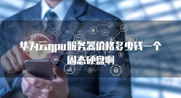 华为云gpu服务器价格多少钱一个固态硬盘啊
