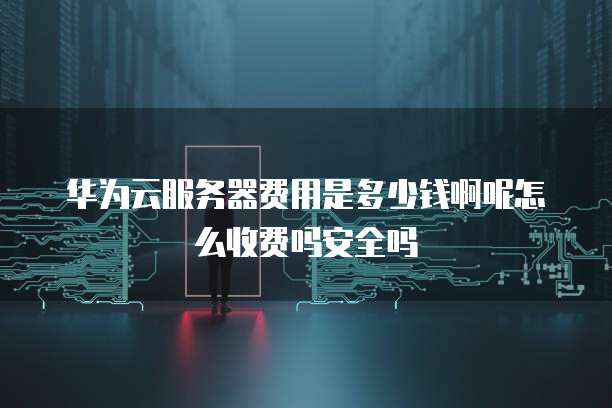 华为云服务器费用是多少钱啊呢怎么收费吗安全吗