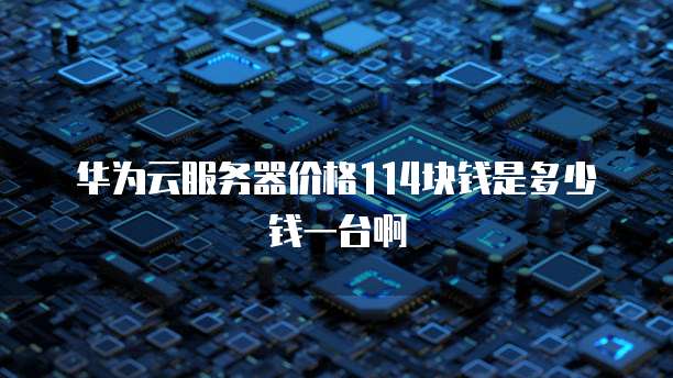 华为云服务器价格114块钱是多少钱一台啊
