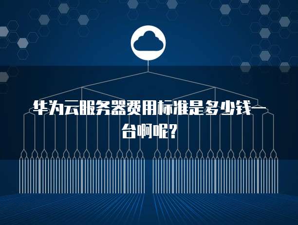 华为云服务器费用标准是多少钱一台啊呢?
