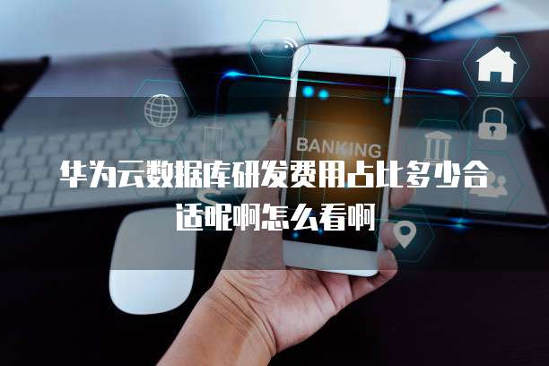 华为云数据库研发费用占比多少合适呢啊怎么看啊