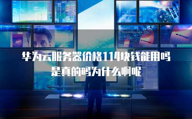 华为云服务器价格114块钱能用吗是真的吗为什么啊呢
