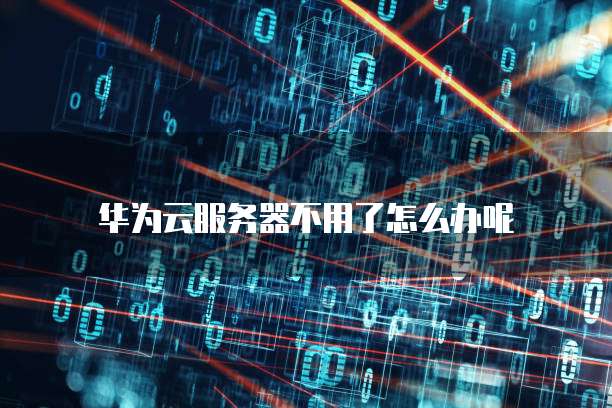 华为云的服务器信息记录在哪里查看?