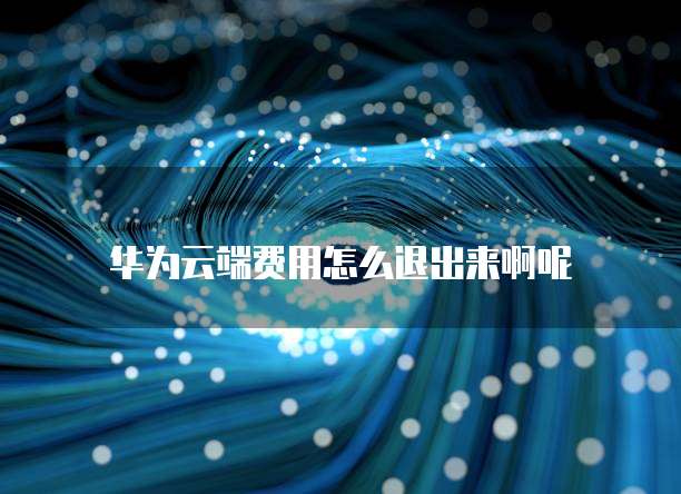 华为云端费用怎么退出来啊呢