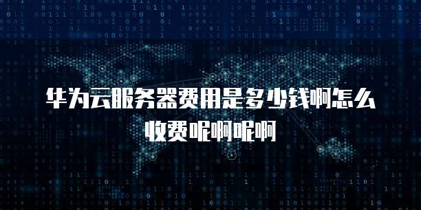 华为云服务器费用是多少钱啊怎么收费呢啊呢啊