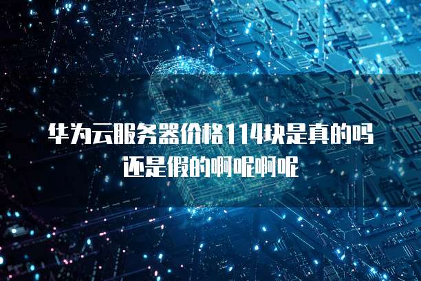 华为云服务器价格114块是真的吗还是假的啊呢啊呢