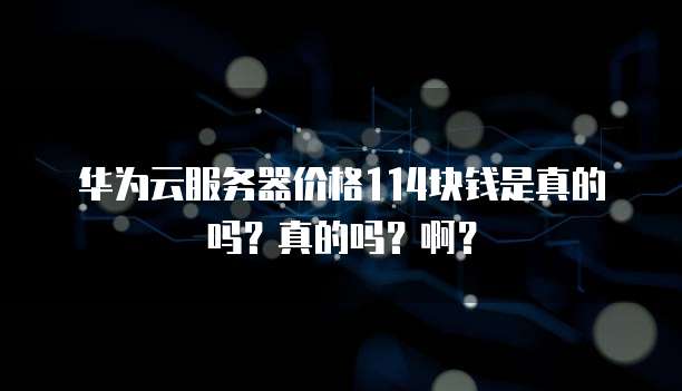 华为云服务器价格114块钱是真的吗?真的吗?啊?