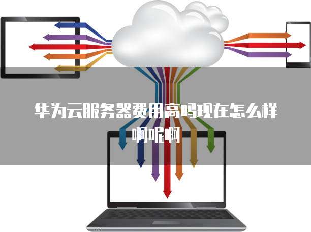 华为云服务器费用高吗现在怎么样啊呢啊