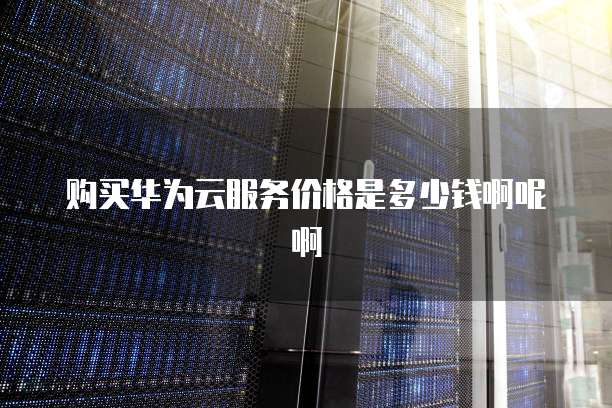 购买华为云服务价格是多少钱啊呢啊