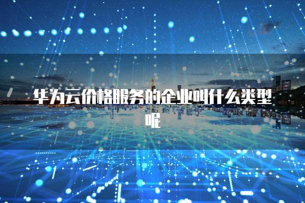 华为云价格服务的企业叫什么类型呢