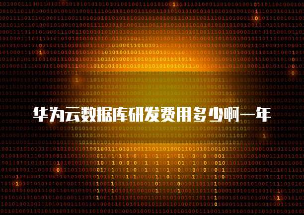 华为云数据库研发费用多少啊一年