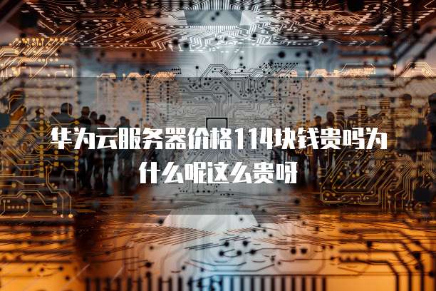 华为云服务器价格114块钱贵吗为什么呢这么贵呀