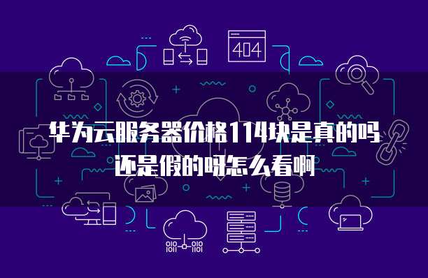 华为云服务器价格114块是真的吗还是假的呀怎么看啊